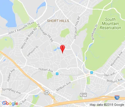 logo-image - millburn-nj